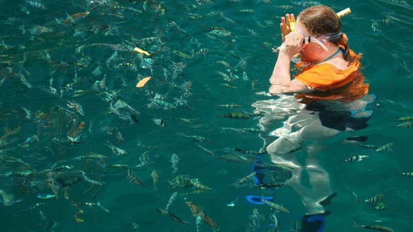 Kota Kinabalu: Snorkeling & Island Hopping Sapi & Manukan - What the $67 price really covers
