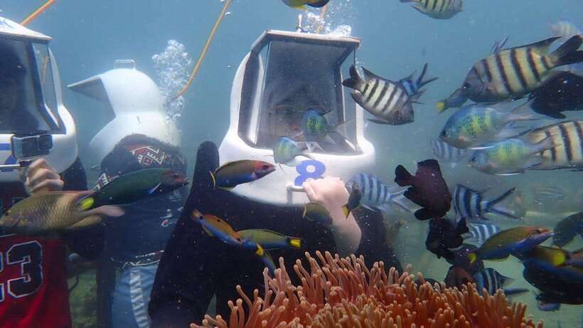 Kota Kinabalu: Snorkeling & Island Hopping Sapi & Manukan - How to make the day work better