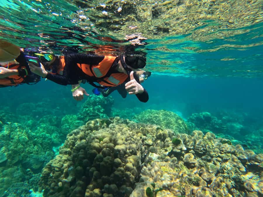 Krabi Aonang: Koh Rok & Koh Haa Snorkelling Day Trip + Lunch - Why Koh Rok and Koh Haa are worth the long day