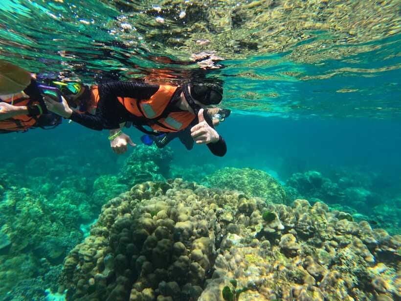 Krabi Aonang: Koh Rok & Koh Haa Snorkelling Day Trip + Lunch - Who should book this trip?