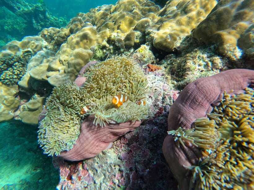Krabi Aonang: Koh Rok & Koh Haa Snorkelling Day Trip + Lunch - Practical packing advice for the boat and beach