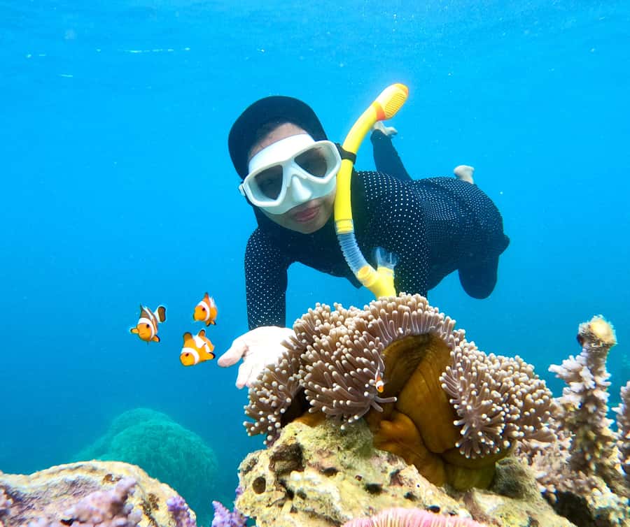 Krabi: Bioluminescent Plankton, Snorkeling & Sunset Tour - Food, language, safety, and physical demands