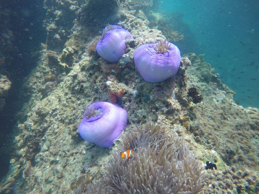 Krabi: Freediving and Snorkeling at Yawasam and Talu Island - Practical packing advice for a six-hour boat day