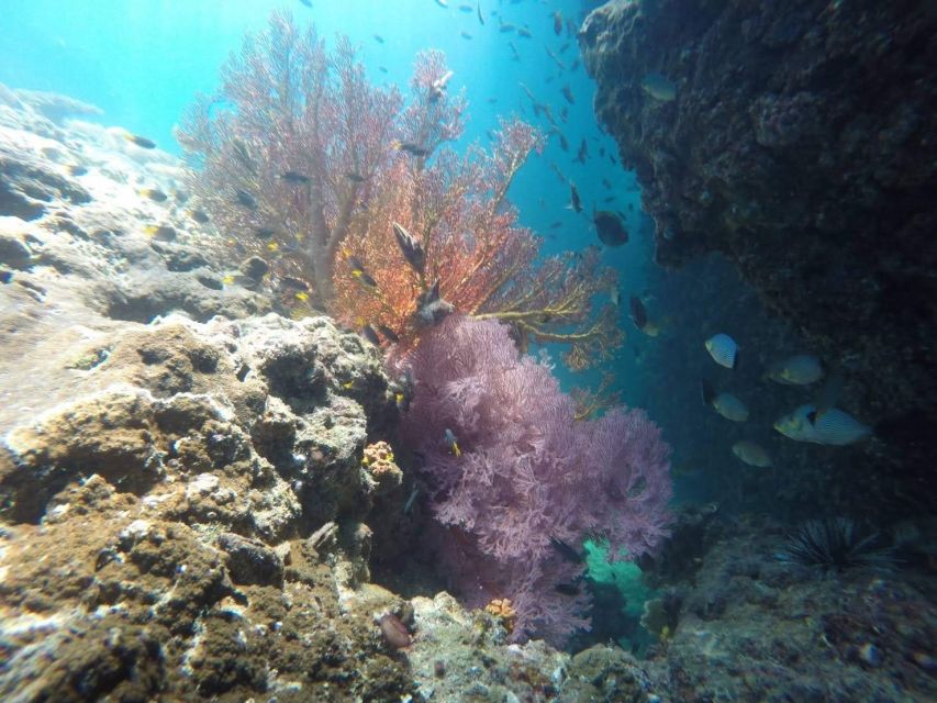 Krabi: Freediving and Snorkeling at Yawasam and Talu Island - What $59 buys you