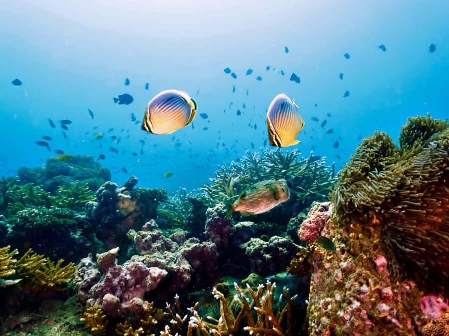 Krabi: Private 4 Islands Snorkeling Tour with Long-Tail Boat - What the private format really adds
