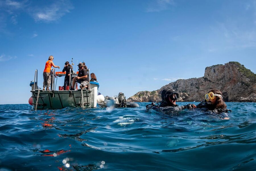 L'Estartit: Dive and Snorkeling in Montgrí Natural Park - Learning the basics before entering the water