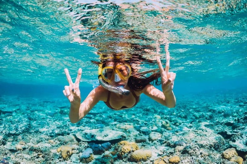La Ciotat: Boat Tour to Cove of Var / Embiez and Snorkeling - Bendor, Bandol, and Île des Embiez