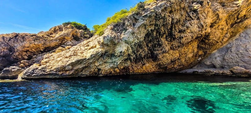 La Ciotat: Boat Tour to Cove of Var / Embiez and Snorkeling - Who will enjoy this boat tour most?