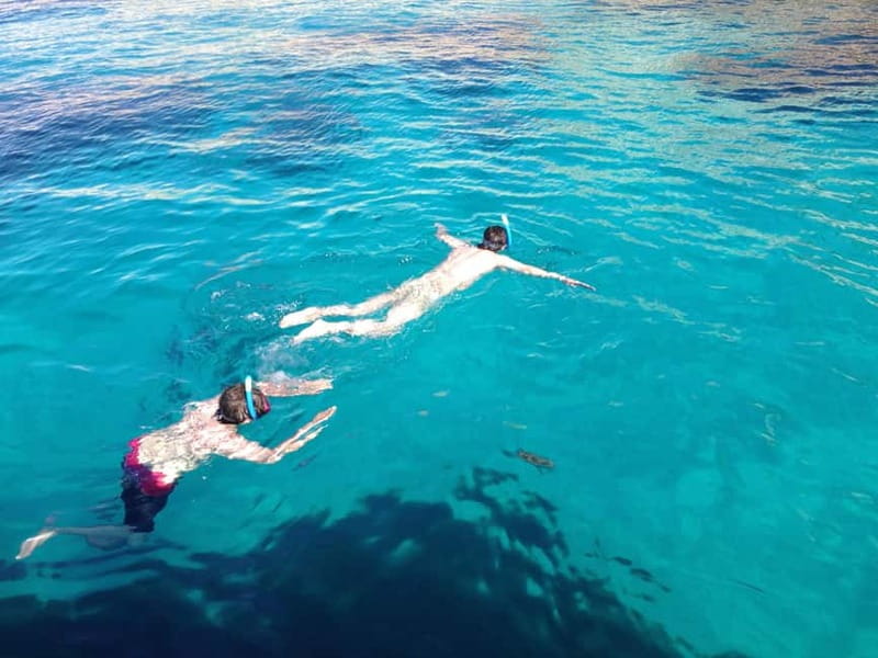 La Ciotat: Calanques Morning Boat Tour with Snorkeling - Anse de l’Arène is the water time