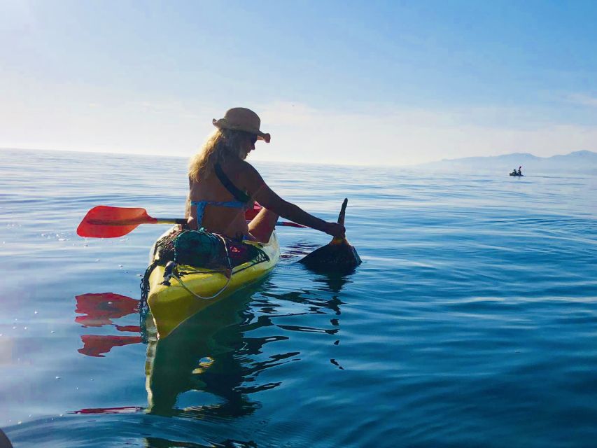 La Herradura: Cerro Gordo Natural Park Kayak & Snorkel Tour - Guide quality and group management