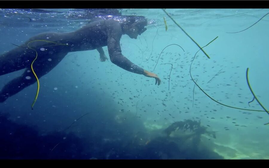 La Jolla: 2.5-Hour Kayak and Snorkel Tour - Should you book the kayak and snorkel tour?