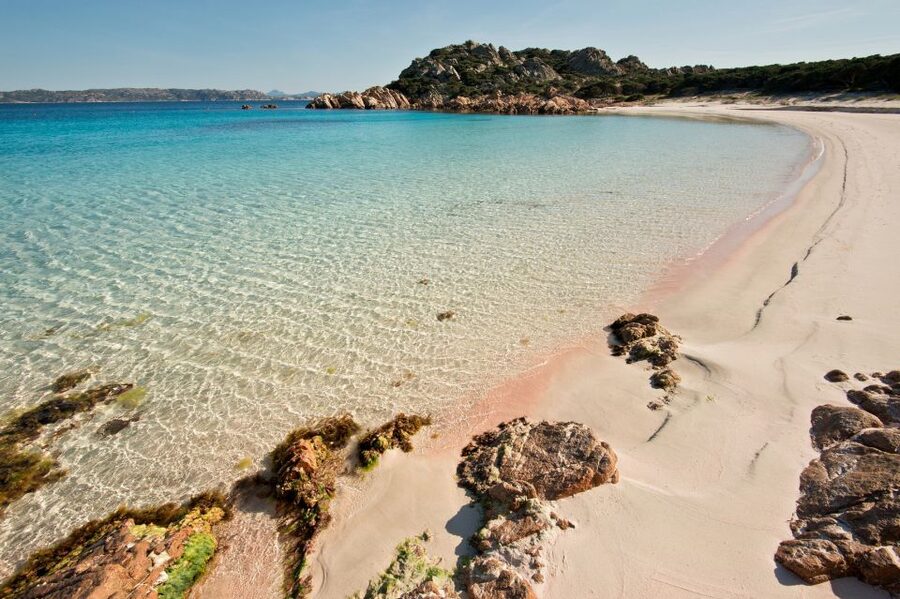 La Maddalena: afternoon snorkeling tour from Porto Pollo - Booking and practical details