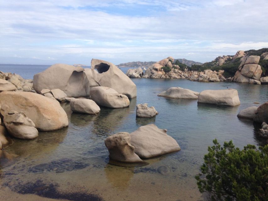La Maddalena: afternoon snorkeling tour from Porto Pollo - What the snorkeling is really like