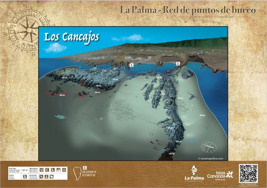 La Palma : Snorkeling Tour in Los Cancajos - Key Points