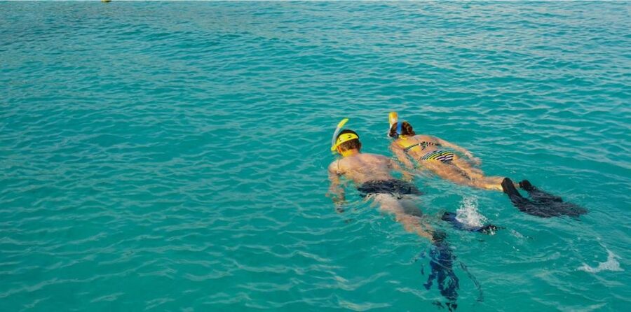 La Palma : Snorkeling Tour in Los Cancajos - Why Los Cancajos Works Well for a Short Snorkeling Outing