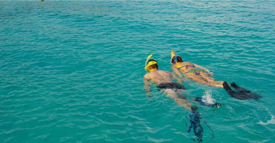 La Palma : Snorkeling Tour in Los Cancajos - From the House Reef Briefing to the Beach