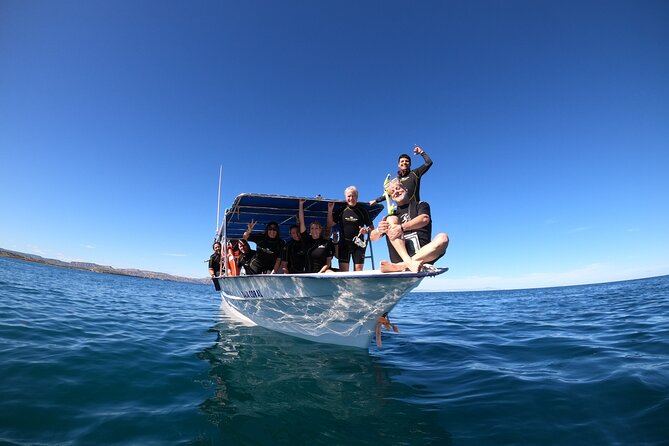 La Paz Whale Shark Snorkeling Tour and Lunch From Los Cabos - The panga ride into the feeding area