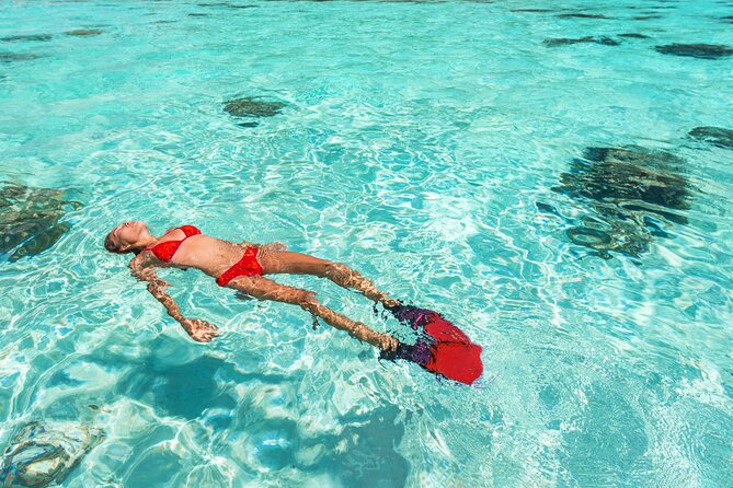 La Paz World Class Snorkeling in Balandras Hidden Beaches - The real schedule: Cabo to Pichilingue