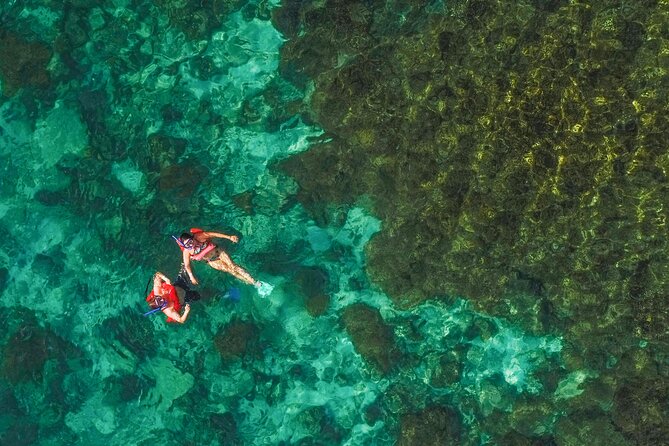 La Paz World Class Snorkeling in Balandras Hidden Beaches - Snorkeling, kayaking, and sea life