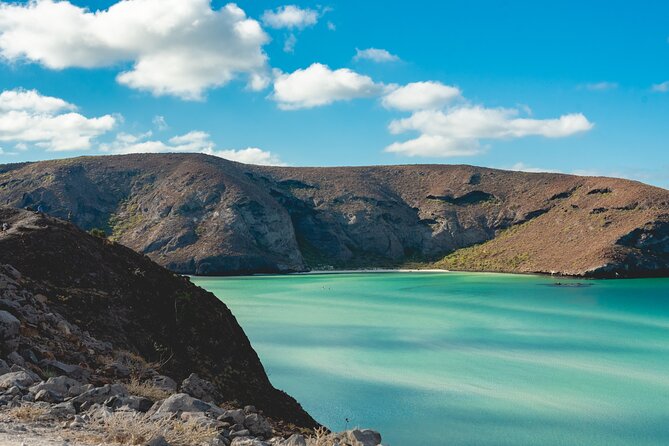 La Paz World Class Snorkeling in Balandras Hidden Beaches - Meals and what is included