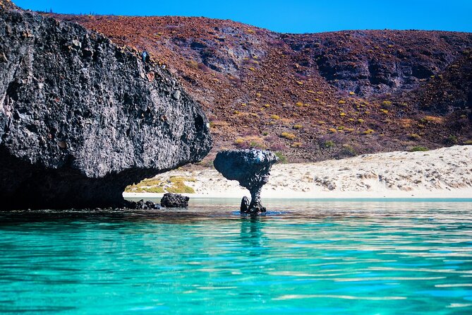 La Paz World Class Snorkeling in Balandras Hidden Beaches - Is $219 a fair price?