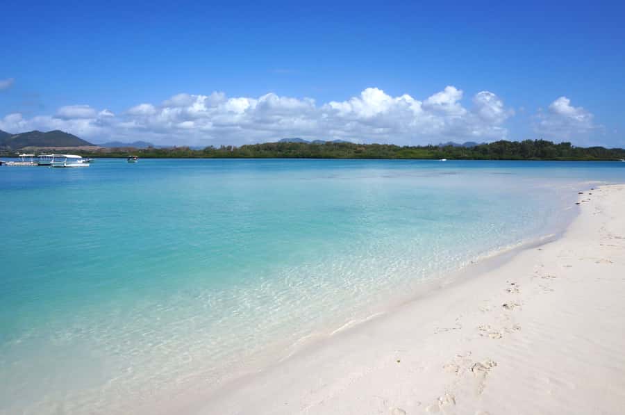La Preneuse: Dolphin Swimming and Snorkeling Speedboat Trip - A fast ride into dolphin country