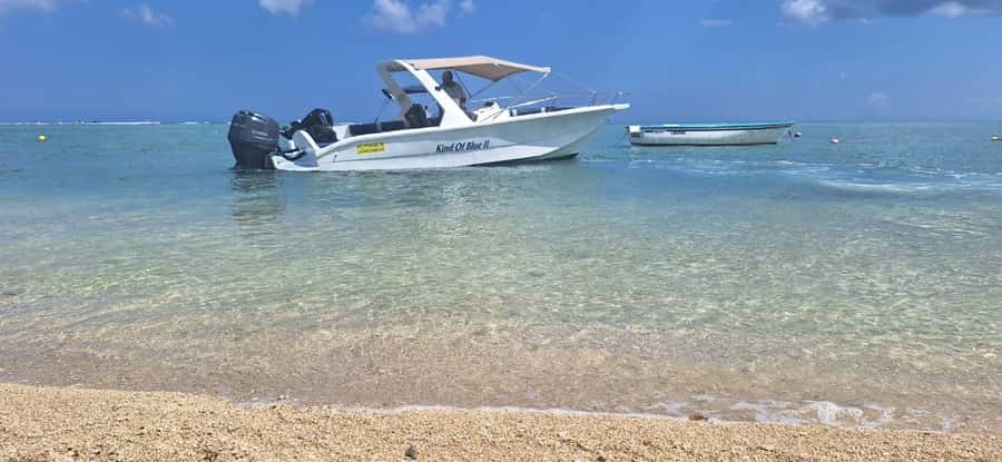 La Preneuse: Dolphin Watching and Snorkeling Speedboat Tour - What the two-hour format gives you
