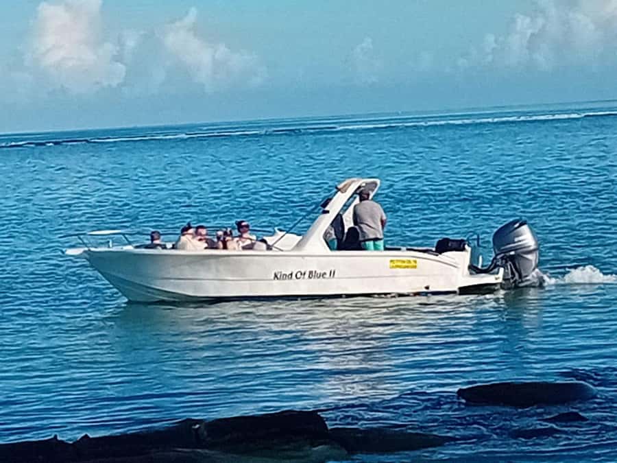 La Preneuse: Dolphin Watching and Snorkeling Speedboat Tour - Is $58 a fair price?