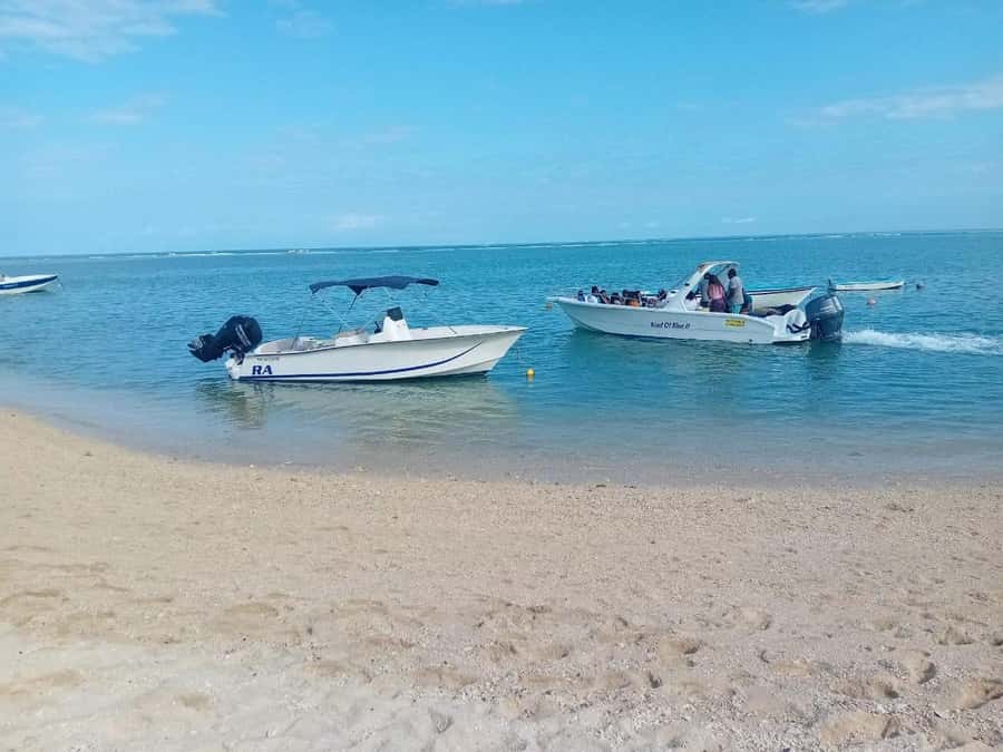 La Preneuse: Dolphin Watching and Snorkeling Speedboat Tour - The best way to approach the experience