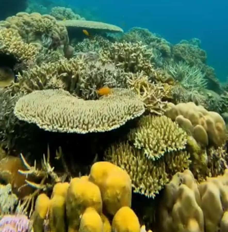 Labuan Bajo: Rangko Cave and Beach Snorkeling Half-Day Tour - The journey is easy, but the access is not polished