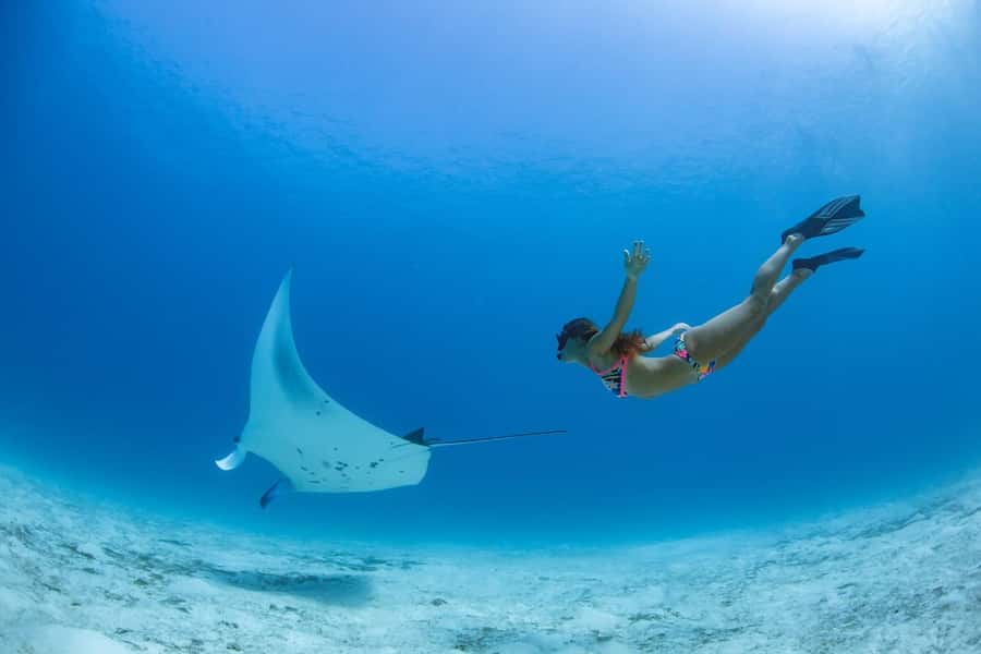 Labuan Bajo: Swim and Snorkel Komodo Island Trip with Lunch - Taka Makassar and Manta Point