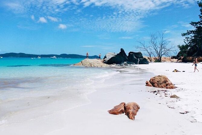 Lady Enid Sailing and Snorkeling Day Trip including Whitehaven Beach - Lunch, afternoon tea, and sparkling wine