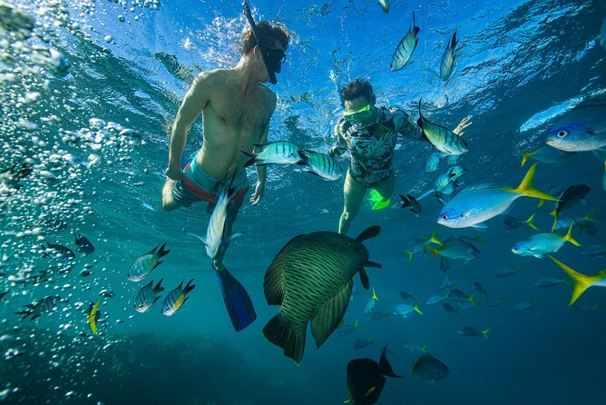 Lady Enid Sailing to Hook Island Cultural Site & Snorkelling - Why the adults-only format matters