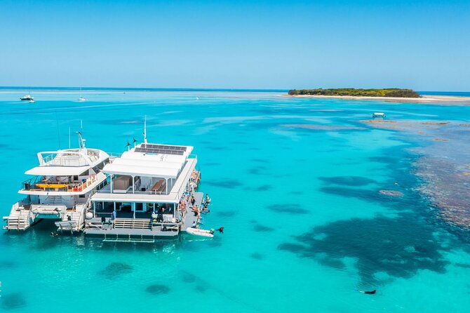 Lady Musgrave Day Trip from Bundaberg Including Snorkeling - Snorkeling among turtles and reef fish
