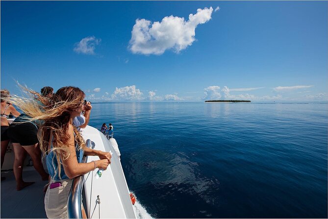 Lady Musgrave Day Trip from Bundaberg Including Snorkeling - Seeing the reef through glass
