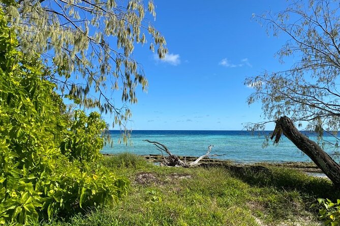 Lady Musgrave Day Trip from Bundaberg Including Snorkeling - Meals, showers, and the practical comforts