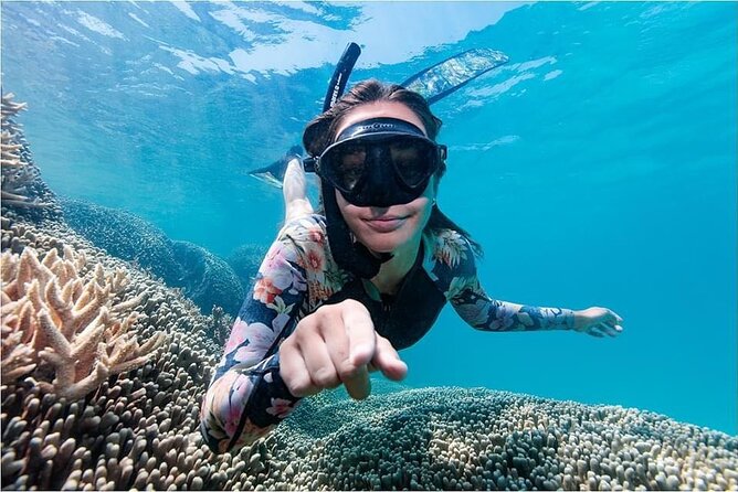 Lady Musgrave Day Trip from Bundaberg Including Snorkeling - Optional scuba sessions