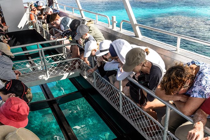 Lady Musgrave Day Trip from Bundaberg Including Snorkeling - Four and a half hours inside the lagoon