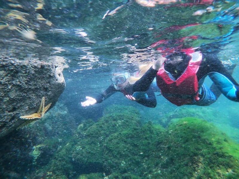 Lagos: Algarve Coasteering and Snorkeling Adventure - Guides Who Keep the Challenge Manageable