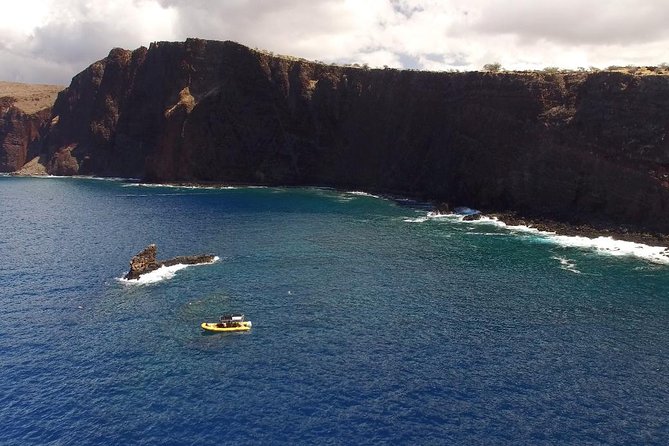 Lanai Deluxe Dolphin Adventure & 3 Snorkel Sites - Key points to know before you book