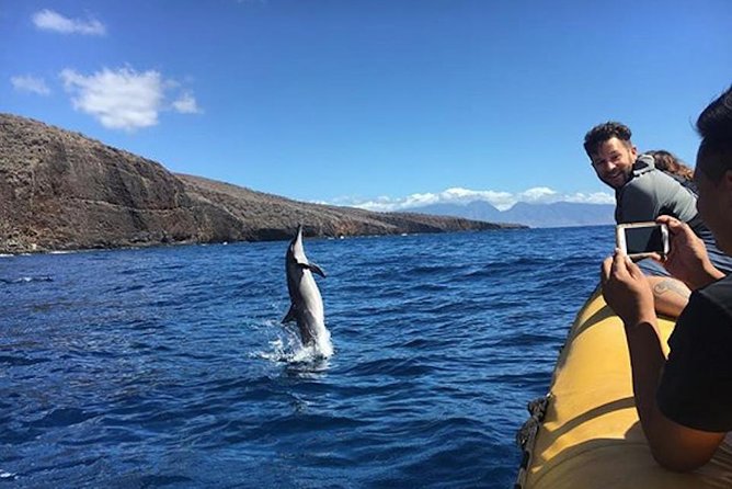 Lanai Deluxe Dolphin Adventure & 3 Snorkel Sites - Crossing the channel from Lahaina to Lanai