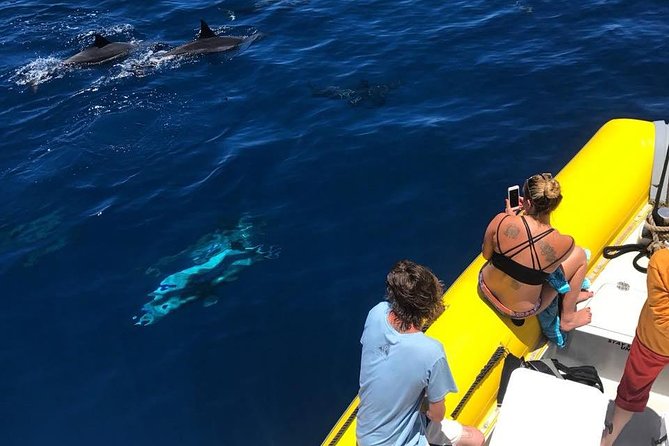 Lanai Deluxe Dolphin Adventure & 3 Snorkel Sites - Breakfast, lunch, snacks, and drinks on board