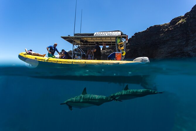 Lanai Deluxe Dolphin Adventure & 3 Snorkel Sites - Is $200 a good value?
