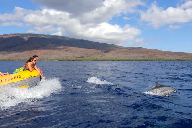 Lanai Deluxe Dolphin Adventure & 3 Snorkel Sites - Weather, cancellations, and timing