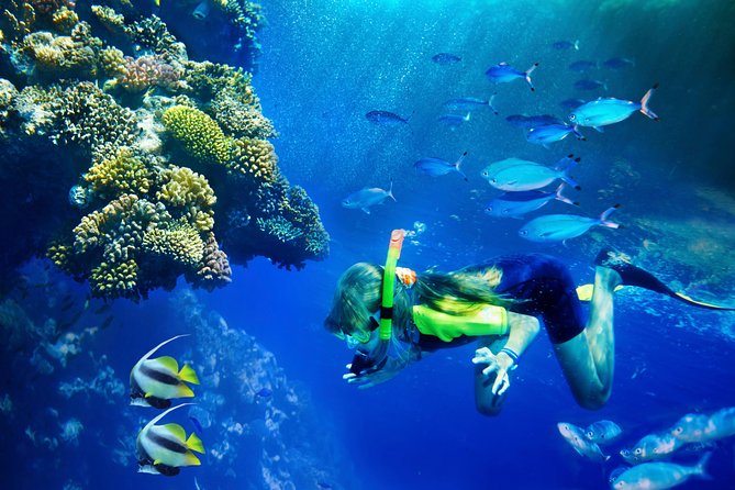 Lanai Snorkel and Dolphin Watch from Maalaea - The Lanai crossing is part of the adventure