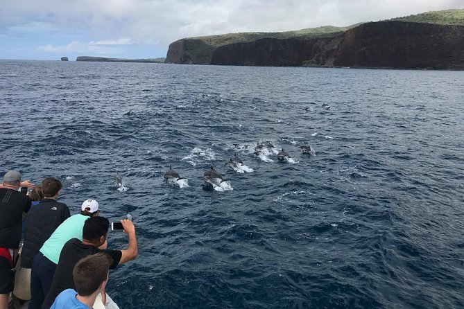 Lanai Snorkel and Dolphin Watch from Maalaea - Dolphin watching is exciting, but never promised