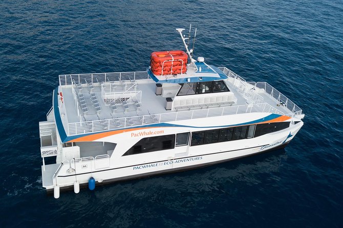 Lanai Snorkel and Dolphin Watch from Maalaea - How weather can change the plan