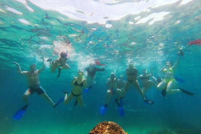 Lands End Luxury Sail and Snorkel Cruise in Cabo San Lucas - Quick reasons to book this Cabo sailing trip