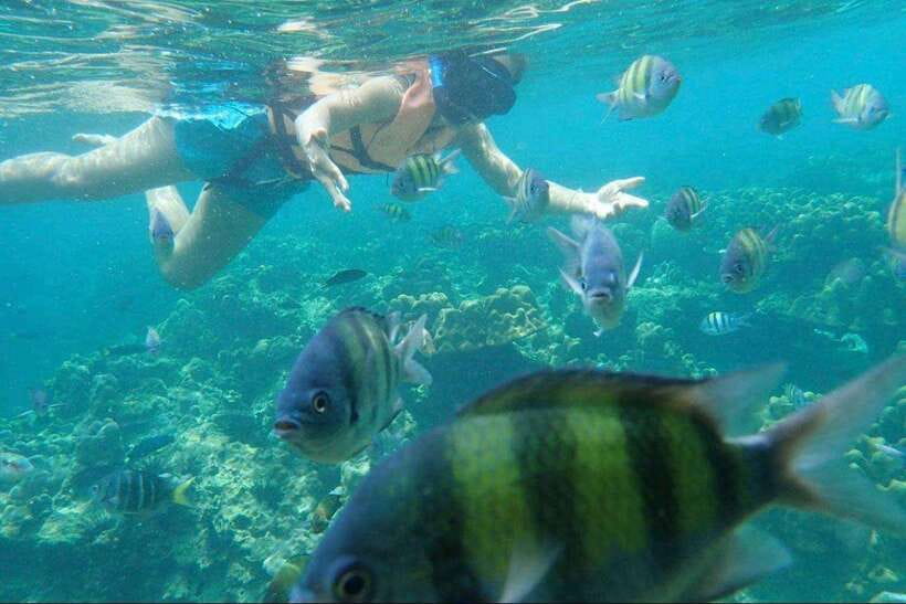 Langkawi: Dangli Island Snorkel and Swim Speedboat Tour - Is $119 good value for a private group?