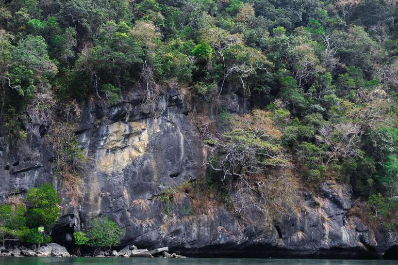 Langkawi Royal Mangrove Tour with Snorkeling Package - Who will enjoy this Langkawi tour?